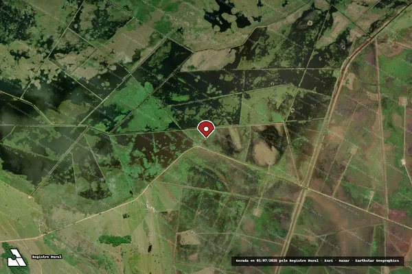 Imagem de satélite de Infração Ambiental em Linhares - ES (marcador da localização)