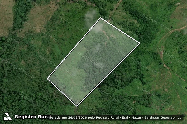 Imagem de satélite de Infração da Flora em Pacajá - PA