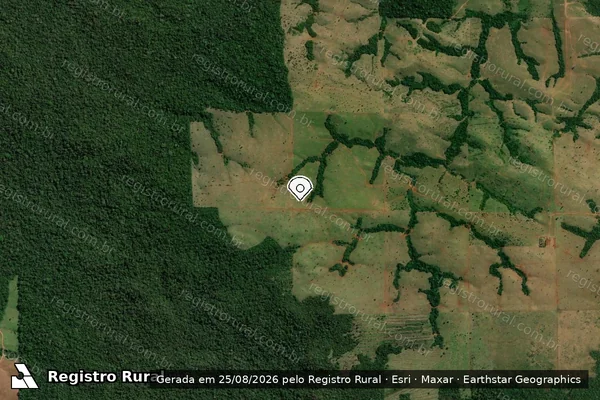 Imagem de satélite de Infração Ambiental em Vilhena - RO (marcador da localização)
