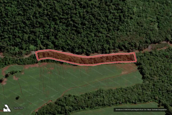 Imagem de satélite de Infração Ambiental em Pérola D'Oeste - PR