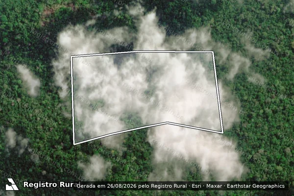 Imagem de satélite — Embargo IBAMA — Infração da Flora - Anapu/PA