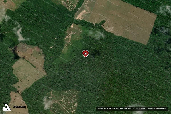 Imagem de satélite de Infração da Flora em Óbidos - PA (marcador da localização)