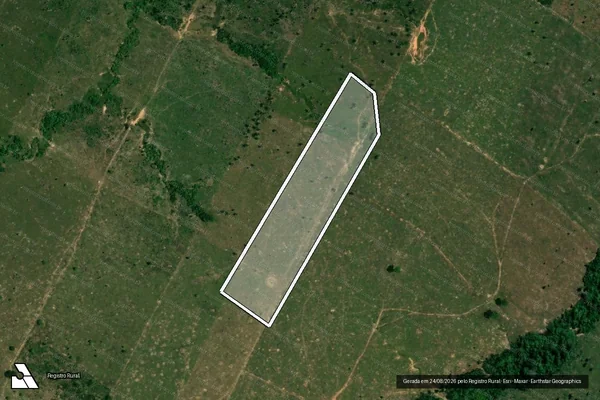 Imagem de satélite de Desmatamento em Porto Velho - RO