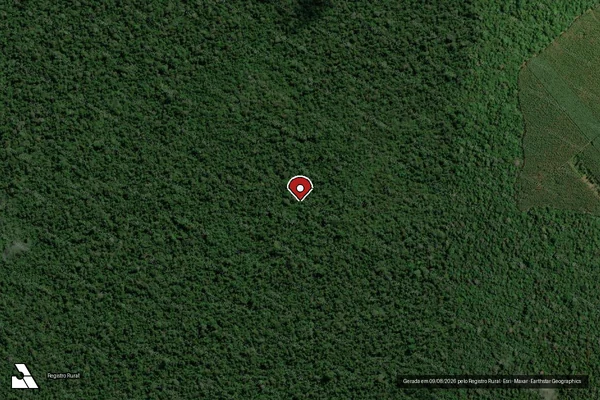 Imagem de satélite de Infração da Flora em Tomé-Açu - PA (marcador da localização)