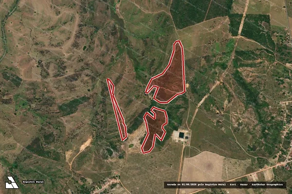 Imagem de satélite de Infração da Flora em Malhada dos Bois - SE