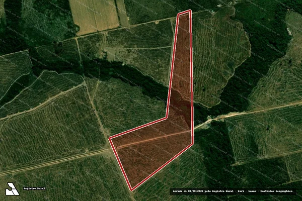 Imagem de satélite de Infração da Flora em Cocalinho - MT