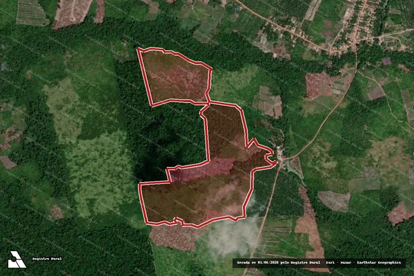 Imagem de satélite de Infração da Flora em Moju - PA