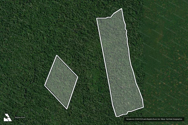 Imagem de satélite — Embargo IBAMA — Infração da Flora - Apuí/AM