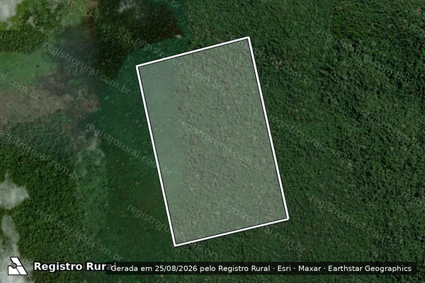 Imagem de satélite — Embargo IBAMA — Infração da Flora - Trairão/PA