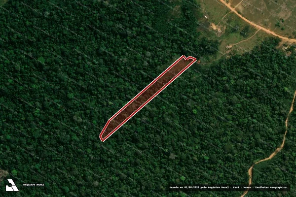 Imagem de satélite de Infração da Flora em Sena Madureira - AC