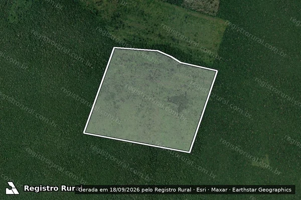 Imagem de satélite — Embargo IBAMA — Infração Ambiental - Humaitá/AM