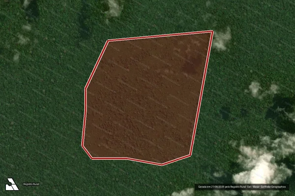 Imagem de satélite de Infração Ambiental em Portel - PA