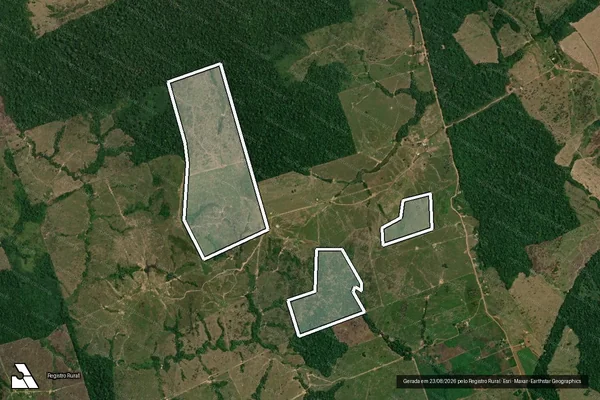 Imagem de satélite de Infração da Flora em Manicoré - AM