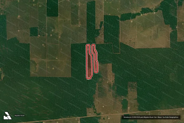 Imagem de satélite de Desmatamento em Alta Floresta D'Oeste - RO