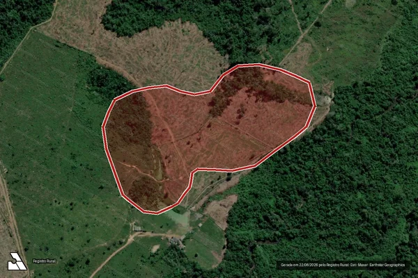 Imagem de satélite de Infração da Flora em Trairão - PA