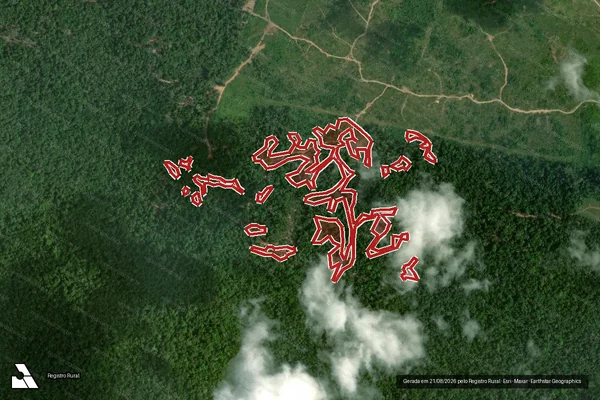 Imagem de satélite de Infração da Flora em Caracaraí - RR