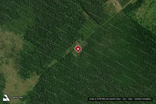 Imagem de satélite de Infração da Flora em Humaitá - AM (marcador da localização)