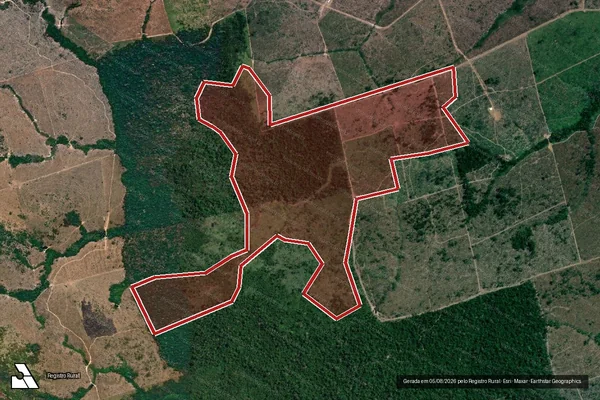 Imagem de satélite de Infração da Flora em Novo Progresso - PA