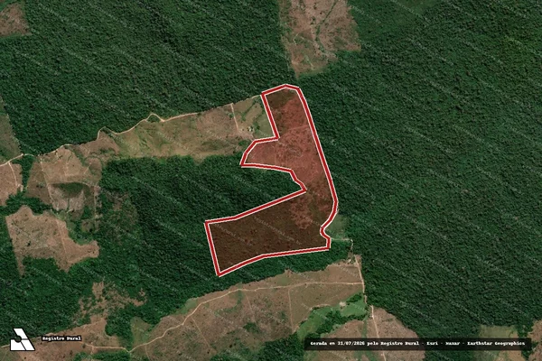 Imagem de satélite de Infração da Flora em Novo Progresso - PA