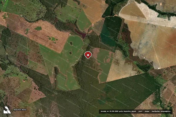Imagem de satélite — Embargo IBAMA — Infração da Flora - Novo Planalto/GO