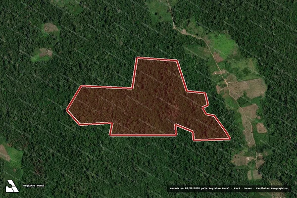 Imagem de satélite de Infração da Flora em Senador José Porfírio - PA