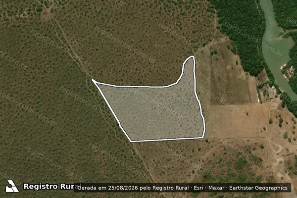 Imagem de satélite — Embargo IBAMA — Infração da Flora - São Félix Do Araguaia/MT