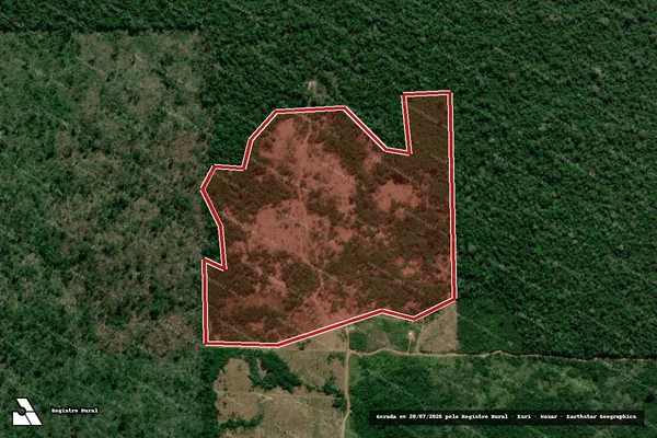 Imagem de satélite de Infração da Flora em Colniza - MT