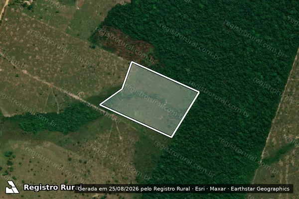 Imagem de satélite de Infração Ambiental em Machadinho D'Oeste - RO
