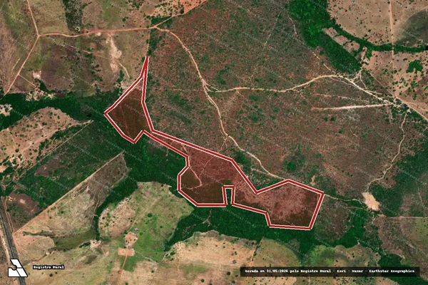 Imagem de satélite de Infração Ambiental em Nova Olinda - TO