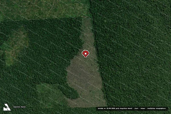 Imagem de satélite — Embargo IBAMA — Infração da Flora — Humaitá/AM
