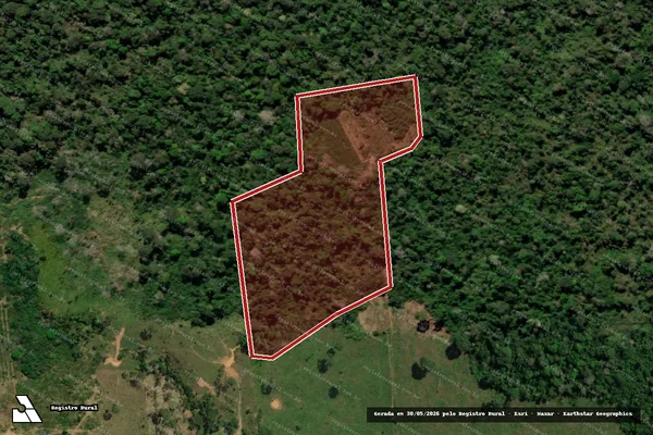 Imagem de satélite de Infração da Flora em Porto Velho - RO