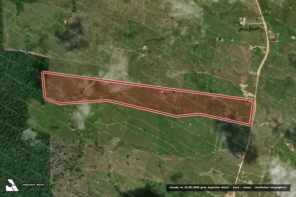 Imagem de satélite — Embargo Ambiental - Caroebe/RR
