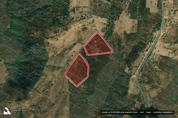 Imagem de satélite — Embargo IBAMA — Infração da Flora — Palmeira dos Índios/AL