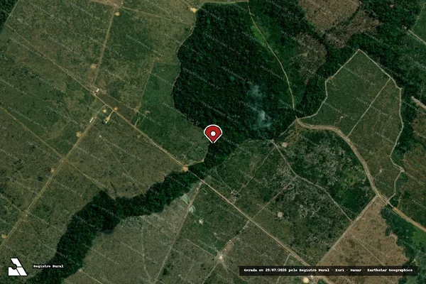 Imagem de satélite de Infração Ambiental em Porto Velho - RO (marcador da localização)