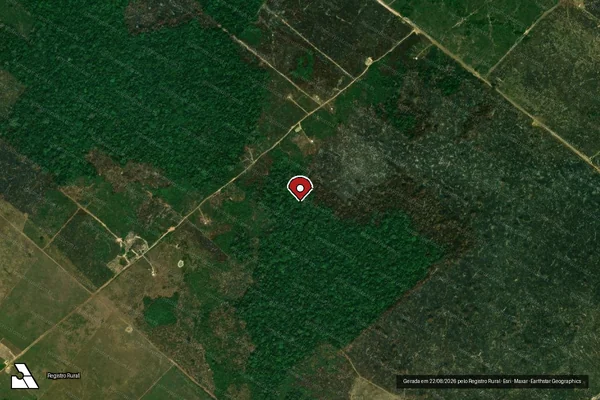 Imagem de satélite de Infração Ambiental em Porto Velho - RO (marcador da localização)