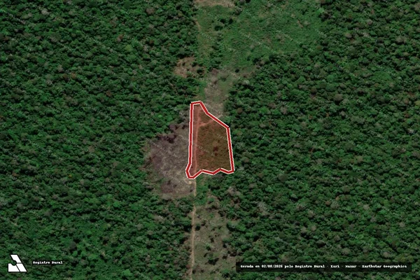 Imagem de satélite de Infração Ambiental em Portel - PA
