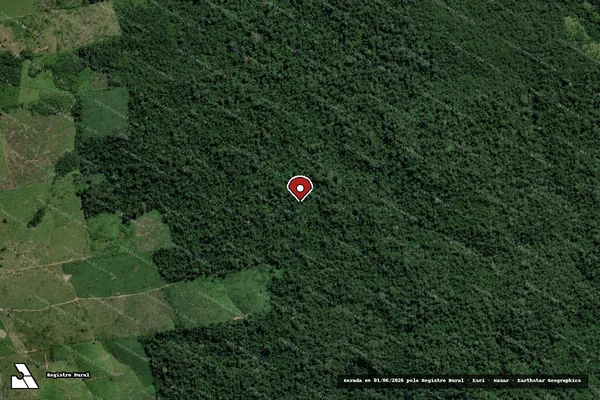 Imagem de satélite — Embargo IBAMA — Infração da Flora - Rurópolis/PA