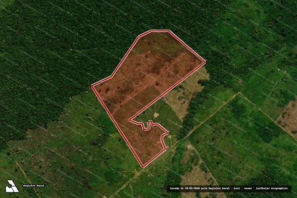 Imagem de satélite de Infração da Flora em Boca do Acre - AM