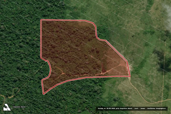 Imagem de satélite de Infração da Flora em Anapu - PA