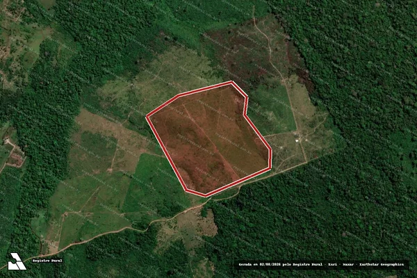 Imagem de satélite de Infração da Flora em Apuí - AM
