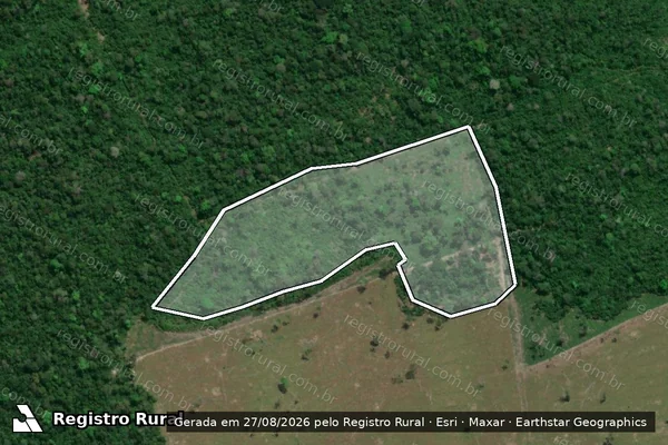 Imagem de satélite de Infração da Flora em Mucajaí - RR
