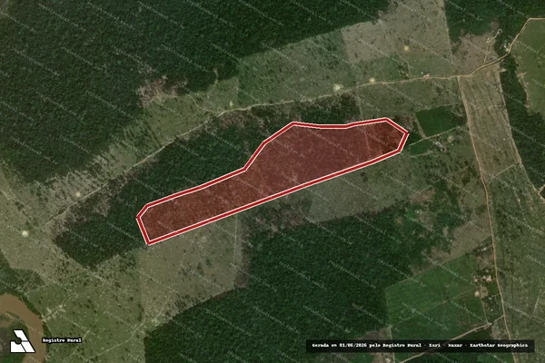 Imagem de satélite de Infração da Flora em Porto Velho - RO