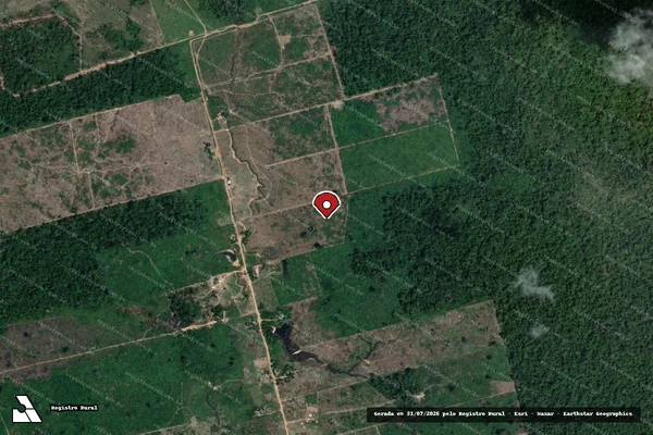 Imagem de satélite de Infração da Flora em Novo Progresso - PA (marcador da localização)