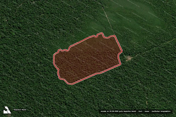 Imagem de satélite de Infração da Flora em Cujubim - RO
