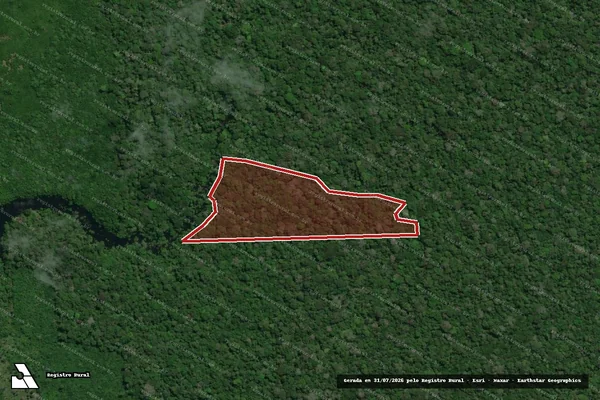 Imagem de satélite de Infração da Flora em Autazes - AM
