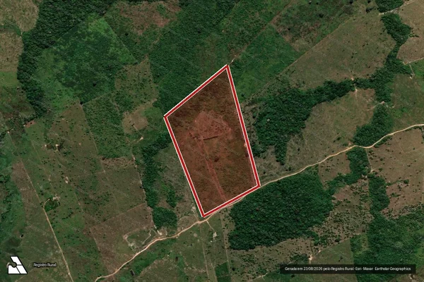 Imagem de satélite de Infração da Flora em Colniza - MT