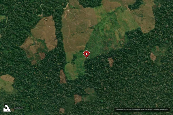 Imagem de satélite de Infração da Flora em Feijó - AC (marcador da localização)