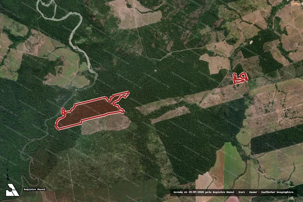 Imagem de satélite de Infração da Flora em Novo Progresso - PA