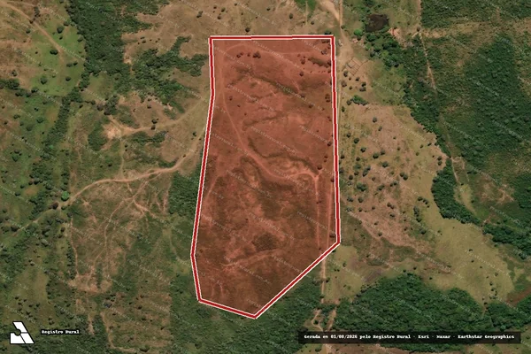 Imagem de satélite de Infração Ambiental em Ribeirão Cascalheira - MT