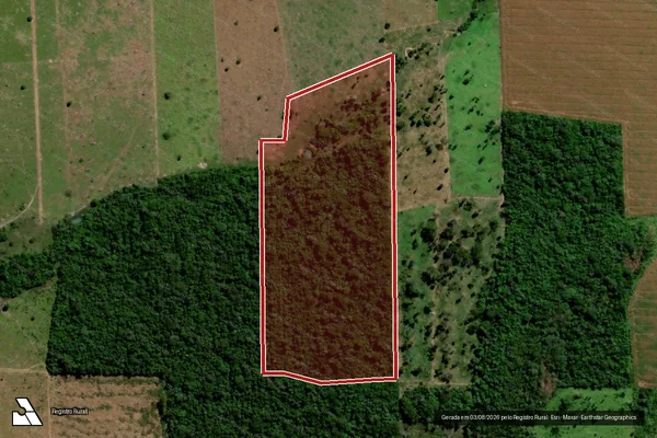 Imagem de satélite de Infração da Flora em Matupá - MT